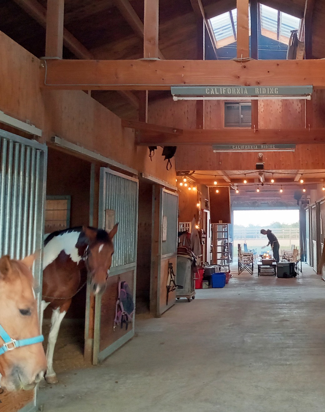 HORSE TREKKING COLLEGE MINAMISOMA ホーストレッキングカレッジ南相馬